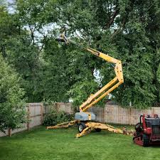 Best Tree Maintenance Programs  in Grant Valkaria, FL