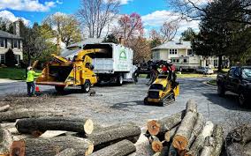 Best Tree Risk Assessment  in Grant Valkaria, FL