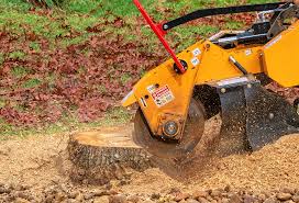 Best Leaf Removal  in Grant Valkaria, FL
