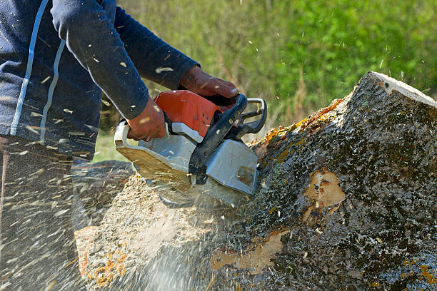 Landscape Design and Installation in Grant Valkaria, FL